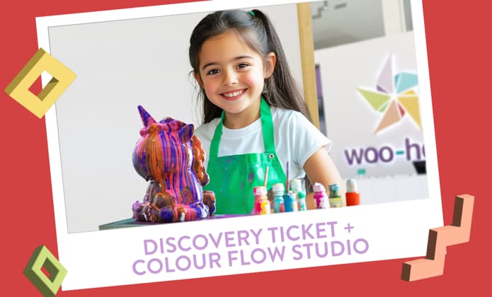 woo-hoo! Discovery Ticket + Colour Flow Studio